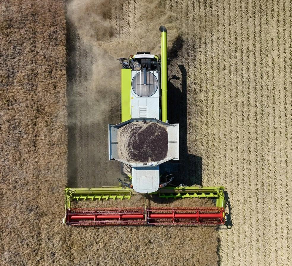 Kombajn CLAAS shora při sklizni, za ním posečené strniště.