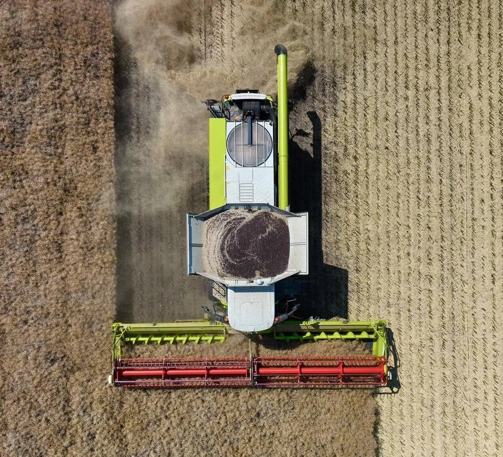 Žně z dronu