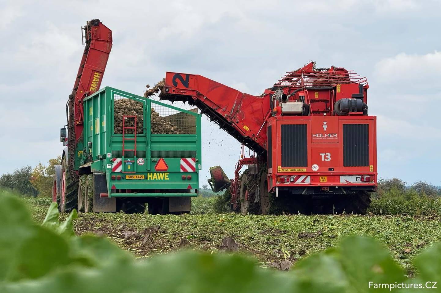 Sklízeč cukrové řepy Holmer a traktor Fendt s návěsem při sklizni.